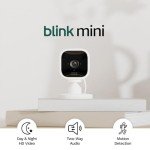 Blink Mini Indoor Security Camera - 2 Pack