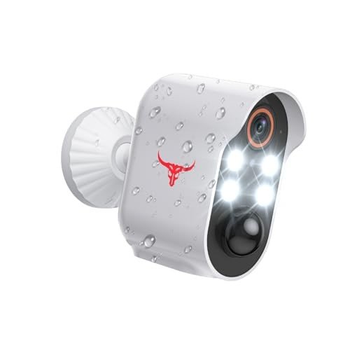 Aiwit 1080p Wireless Indoor/Outdoor Security Camera