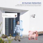 Aiwit 1080p Wireless Indoor/Outdoor Security Camera