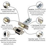 Satin Nickel Mortice Door Latch - 2 Pack