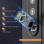 XDeer Biometric In-Wall Hidden Security Safe