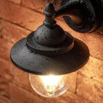 CGC Coach Lantern Outdoor Outside Wall Light Garden Porch Patio Garden Traditional Conservatory Door Shed Vintage Retro (Black with Warm White Bulb)