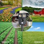 Ultrasonic Cat Repellent, Ultrasonic Solar Animal Repellent, Marten Deterrent, USB Charging, Waterproof, LED Light, Marten Repellent for Garden, Effective Against Cats, Dogs, Birds, Rats, Martens
