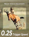 iZEEKER Wildlife Camera 32MP HD, Trail Camera with 940nm No Glow Infrared LEDs Night Vision Motion Activated IP66 Waterproof for Wildlife Watching Garden