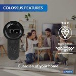 XFORT Colossus 3 Star Euro Cylinder Lock