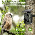 MAXDONE Wildlife Camera WiFi Bluetooth, 48MP 30FPS Solar Trail Camera with Night Vision Motion Activated, 0.1s Trigger Speed, IP66 Waterproof, Built-in 5200mAh Rechargeable Battery for Garden Monitor