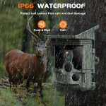 VOOPEAK Solar Trail Camera - 100MP 4K Native 30FPS, WiFi Bluetooth Game Camera with 120°Wide-Angle Motion Activated Night Vision 0.1s Trigger Time IP66 Waterproof for Wildlife Monitoring