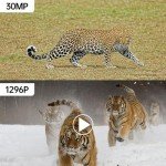 Wildlife Camera - 30MP 1296P WiFi Bluetooth Trail Camera, Game Camera with Night Vision Motion Activated Waterproof, IP66 Waterproof 120° View Angle for Outdoor Wildlife Monitoring