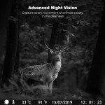 Wildlife Camera, 4K 42MP Trail Camera with 42pcs IR Night Vision Motion Activated Wildlife Camera, IP56 Waterproof 2.0'' TFT LCD Screen Game Camera for Wildlife Monitoring