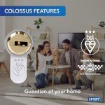 XFORT Colossus 3 Star Kitemarked Euro Cylinder Lock