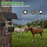 MAXDONE Wildlife Camera WiFi Bluetooth with APP, 48MP 30FPS Solar Trail Camera with Night Vision Activated Waterproof IP66, 0.1s Trigger Speed, Built-in Battery Rechargeable for Wildlife Monitoring