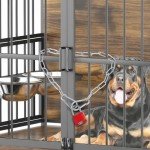 Gate Chain Lock, Chain and Padlock Outdoor, Padlock Chain, Security Chain, Lock and Chain with Carabiners,Steel Chain, Metal Chain with Bin Lock for Fences, Cages, Animal Enclosures