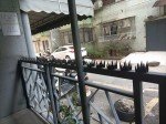 Deterrent Fence Wall Spikes with Screws Security Fence Spikes Metal Outdoor Anti Climb Spike Repellent Thief Cat Bird Deterrent Spikes for Railing Roof Home Security