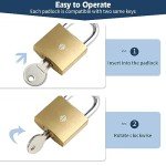 HOX 2-Pack Keyed Padlock, Waterproof and Rustproof, Solid Brass Lock with 1-1/4" Wide Body, Padlock with Keys for Storage Unit, Sheds, Garages and Fence