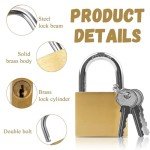 2 Pcs Locker Padlock with Keys, Small Padlock for Locker, 20mm Security Small Lock for Mini Padlock, Key Padlock, Suitcase Lock, Shed, Gate