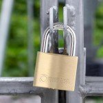 THIRARD Type-1 Brass Padlock - Reinforced Pin Mechanism - Heavy-Duty Weatherproof Lock for Sheds, Lockers, Gates, and More - Keyed Alike - Single Pack