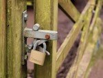 THIRARD Type-1 Brass Padlock - Reinforced Pin Mechanism - Heavy-Duty Weatherproof Lock for Sheds, Lockers, Gates, and More - Keyed Alike - Single Pack