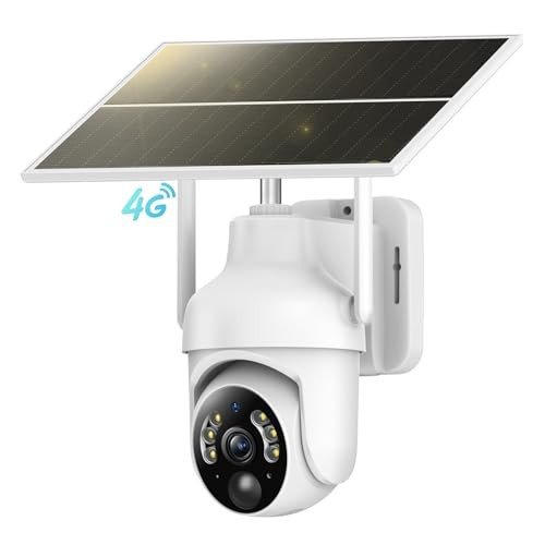 Surveillance Cameras