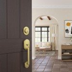 Schlage F60RMN608DAVRMN Remsen Front Entry Handleset withDavlin Door Lever Deadbolt Keyed 1 Side, Satin Brass