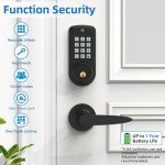 Smart Keypad Door Lock with Handle,Keyless Entry Door Lock for Front Door, Electronic Digital Door Lock,Electronic Keypad Deadbolt Door Lock with Code, Auto Lock,Traditional Key,Easy Installation