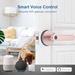 BAFUWEIY Fingerprint Door Lock, 6-in-1 Smart Door Knob with App Control/Fingerprints/IC Cards/Passwords/2 Keys, Fingerprint Door Knob Biometric Door Lock for Bedroom Apartment-Rose Gold