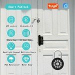 Decruil Smart Padlock for Outdoor Gate, Bluetooth Digital Padlock with Code, Electronic APP Control Lock for Gate, Locker, Fence