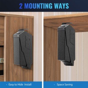 Biometric Quick Access Handgun Gun Safe