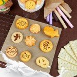 45 Cookie Stencils and 2 Powder Shakers Set