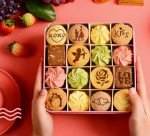 45 Cookie Stencils and 2 Powder Shakers Set