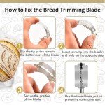 Complete Sourdough Starter Kit for Beginners
