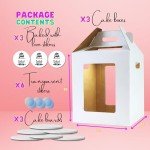 Tall Cake Boxes with Window - 3 Pack