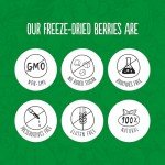 Freeze Dried Raspberry & Strawberry 4-Pack