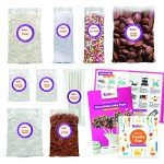 Kids Baking Set: All-in-One Cake Pop Kit