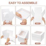 10-Pack 12-Inch Cake Boxes with Window