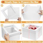 12-Inch Tall Cake Boxes with Window - 12 Pack
