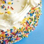 Rainbow Colorful Sprinkles - 2.2 Pounds Bulk