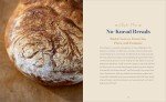 Beginner’s Guide to Baking Kneaded and No-Knead Bread