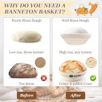 Complete Sourdough Baking Starter Kit with Tools