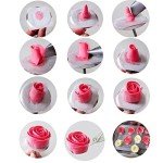 Cake Decorating Tool Kit with Icing Nozzles and Nails