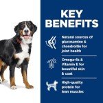 Hill's Science Diet Large Breed Dry Dog Food