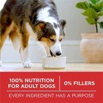 Purina ONE Chicken & Rice Dry Dog Food 31.1 lb