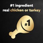 Cesar Dog Food Filets in Gravy Variety Pack