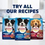 Kibbles 'n Bits Bistro Beef & Veggie Dog Food