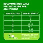 Iams Mini Chunks Dog Food, 7 lbs