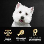 Cesar Dog Food Filets in Gravy Variety Pack