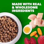 Iams Mini Chunks Dog Food, 7 lbs