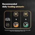 Cesar Dog Food Filets in Gravy Variety Pack