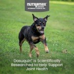 Nutramax Dasuquin Soft Chews for Small/Medium Dogs