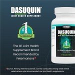 Nutramax Dasuquin Soft Chews for Small/Medium Dogs