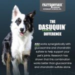 Nutramax Dasuquin Soft Chews for Small/Medium Dogs